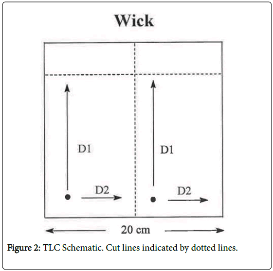 toxicology-TLC-schematic