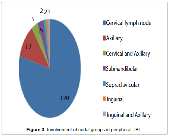 tuberculosis-therapeutics-involvement-nodal-groups