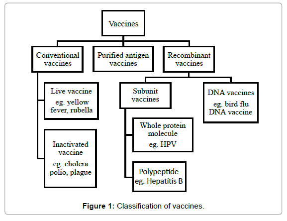 vaccines-vaccination-Classification-vaccines