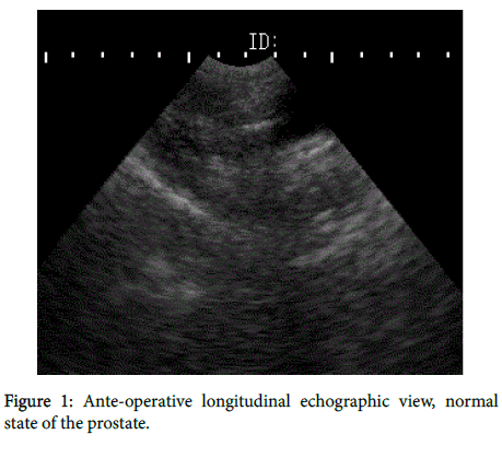 veterinary-science-technology-Ante-operative-longitudinal