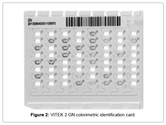 water-borne-diseases-vitek-2-gn-colorimetric