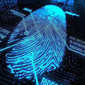 Fingerprint Analysis | List of High Impact Articles | PPts | Journals ...