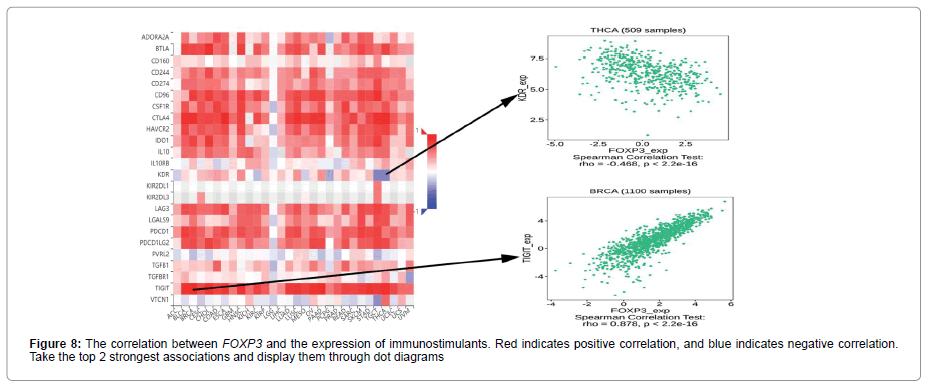 Oncology-Research-expression-7-s1-001-g008