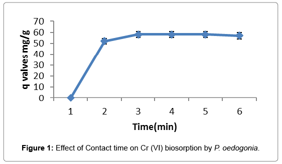 bioremediation-biodegradation-Contact-time