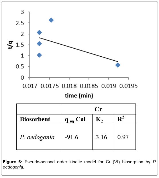 bioremediation-biodegradation-Pseudo-second