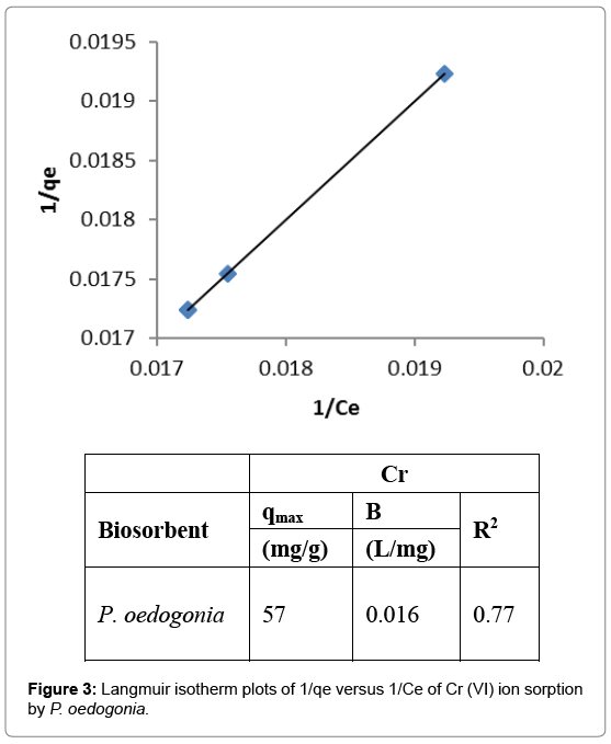 bioremediation-biodegradation-isotherm-plots