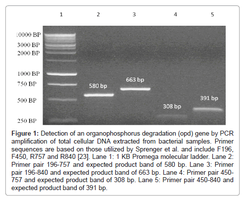 bioremediation-biodegradation-organophosphorus