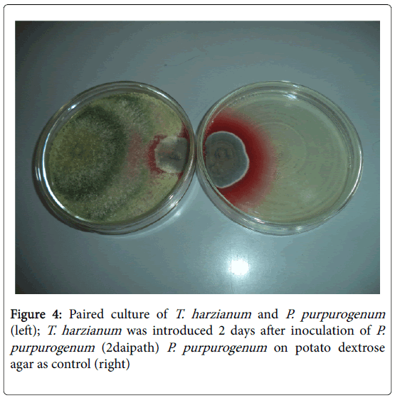 bioresearch-communications-agar-control