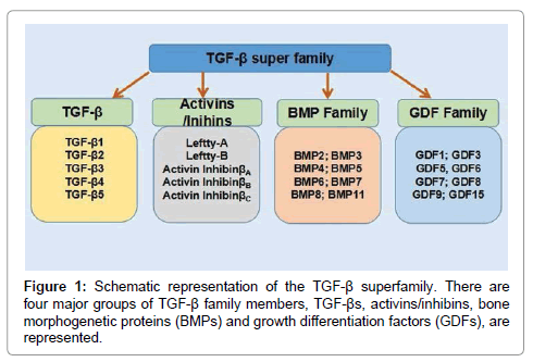 Cancer-science-therapy-schematic