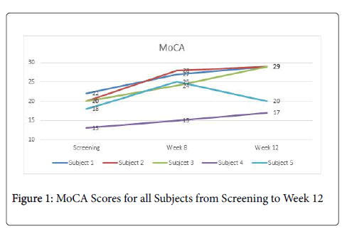 moca results interpretation