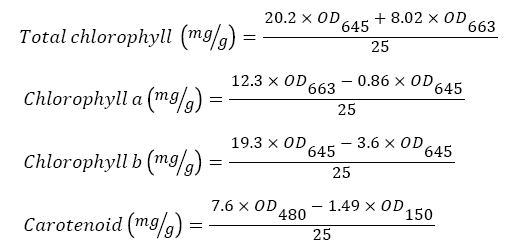 equation