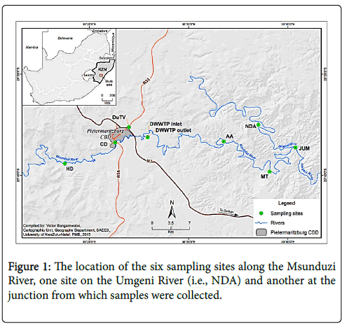 hypothesis about umgeni river