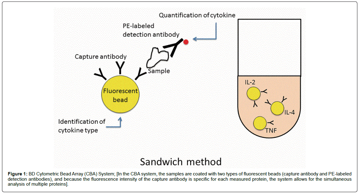 gastrointestinal-digestive-system-Cytometric-Bead-Array