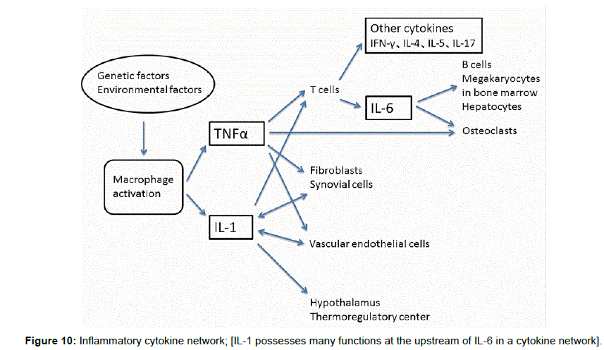 gastrointestinal-digestive-system-cytokine-network