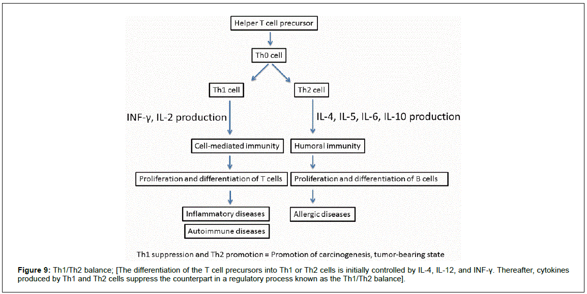 gastrointestinal-digestive-system-regulatory-process