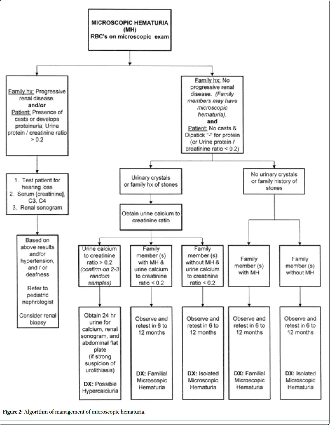 General Practice Microscopic Hematuria 