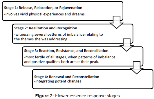 homeopathy-ayurvedic-response-stages