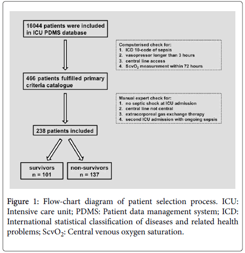 infectious-diseases-therapy-Flow-chart-diagram