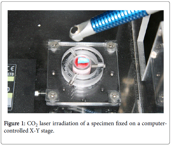 interdisciplinary-medicine-dental-science-laser-irradiation-specimen