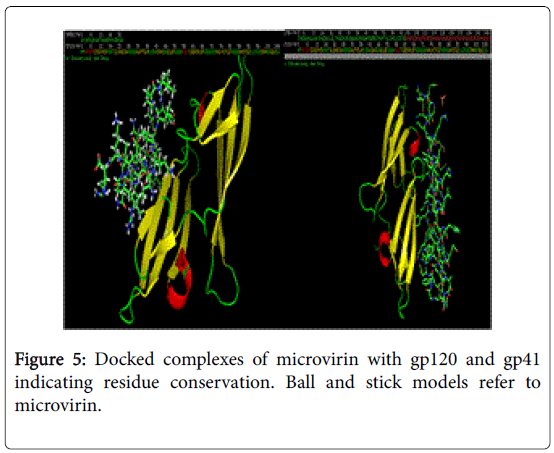 marine-science-research-development-Docked-complexes