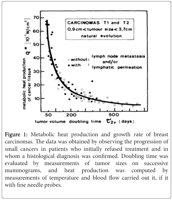 molecular-imaging-dynamics-Metabolic-heat