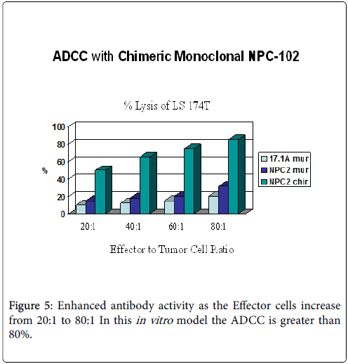 molecular-immunology-cell-antibody