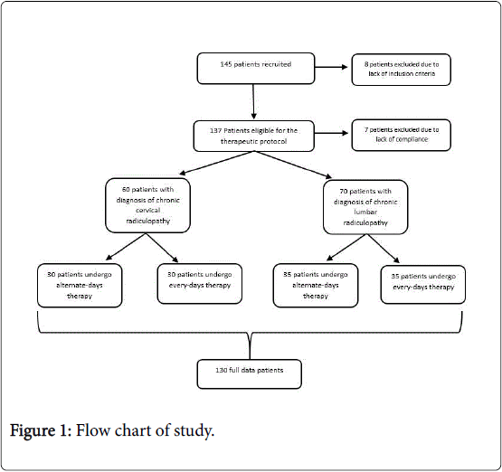 novel-physiotherapies-Flow-chart