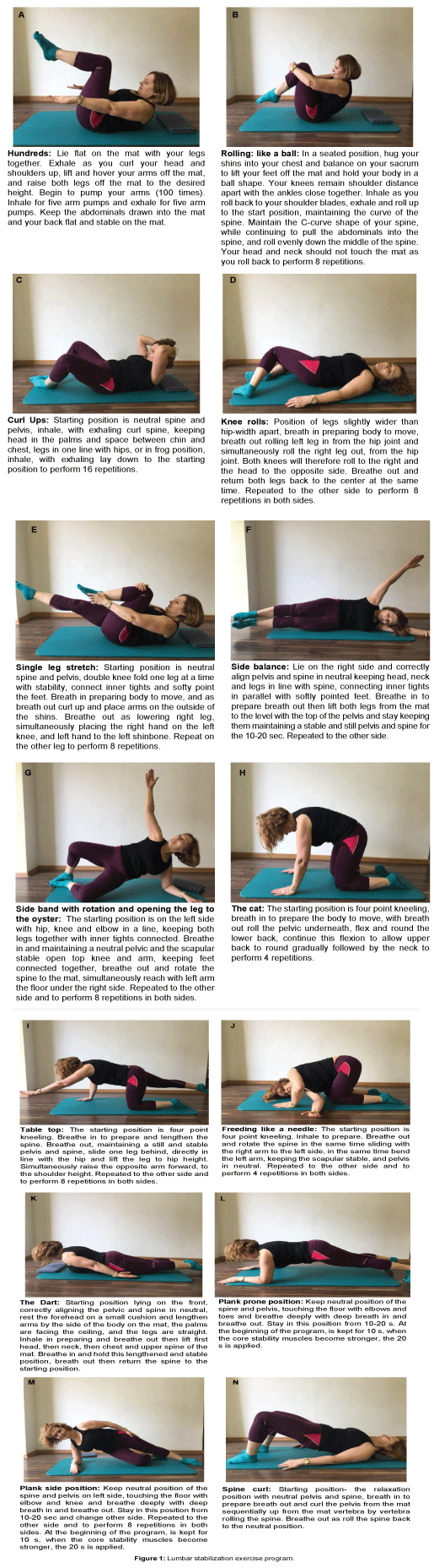 https://www.omicsonline.org/publication-images/pain-relief-Lumbar-stabilization-exercise-7-309-g001.png