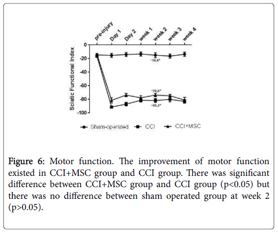 pain-relief-motor-function