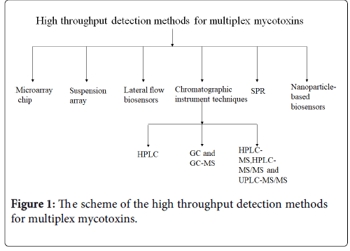 toxicology-multiplex-mycotoxins